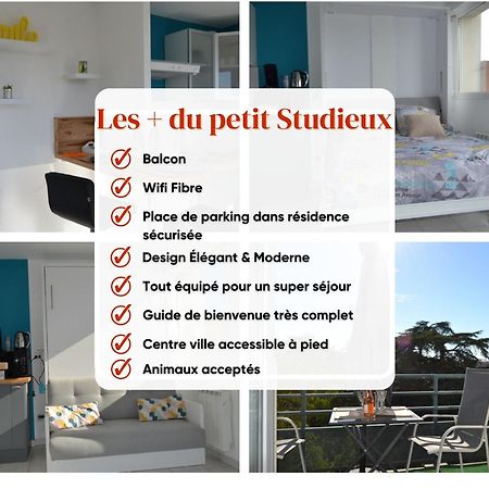 Le Petit Studieux - Parking - Animaux Acceptes - Centre Ville Accessible A Pied Albi Buitenkant foto