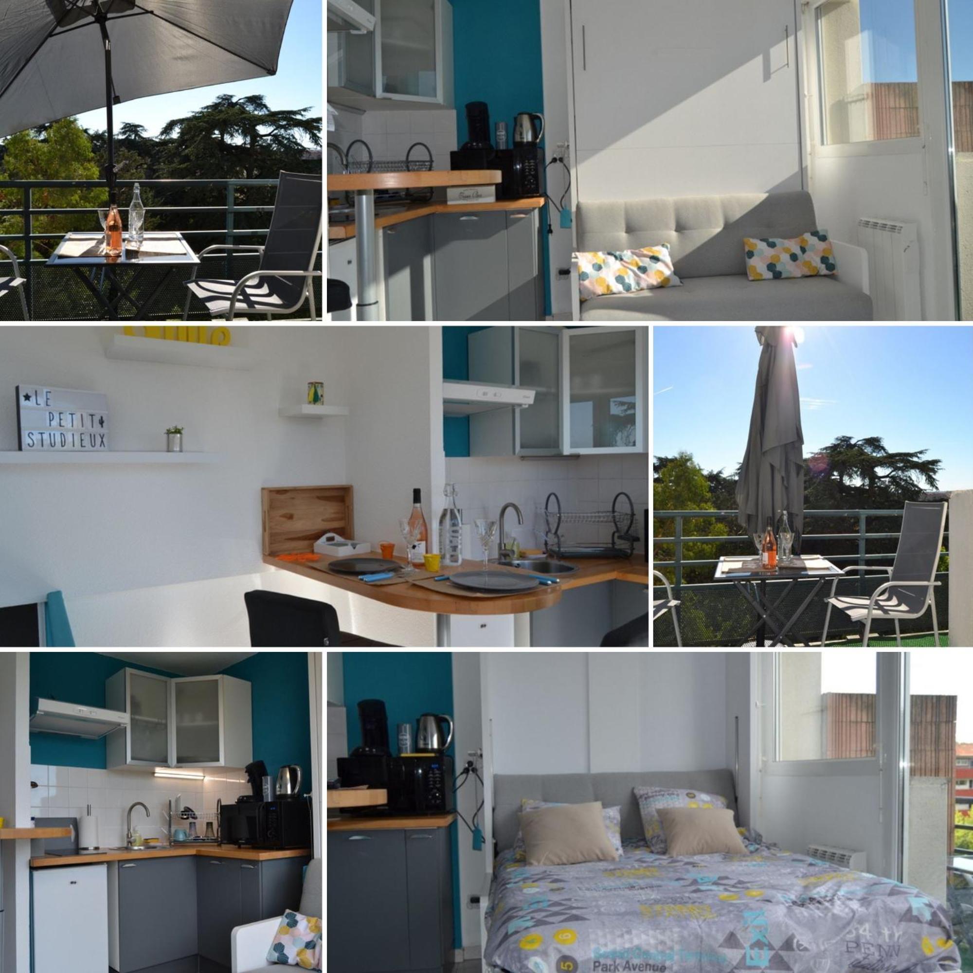 Le Petit Studieux - Parking - Animaux Acceptes - Centre Ville Accessible A Pied Albi Buitenkant foto