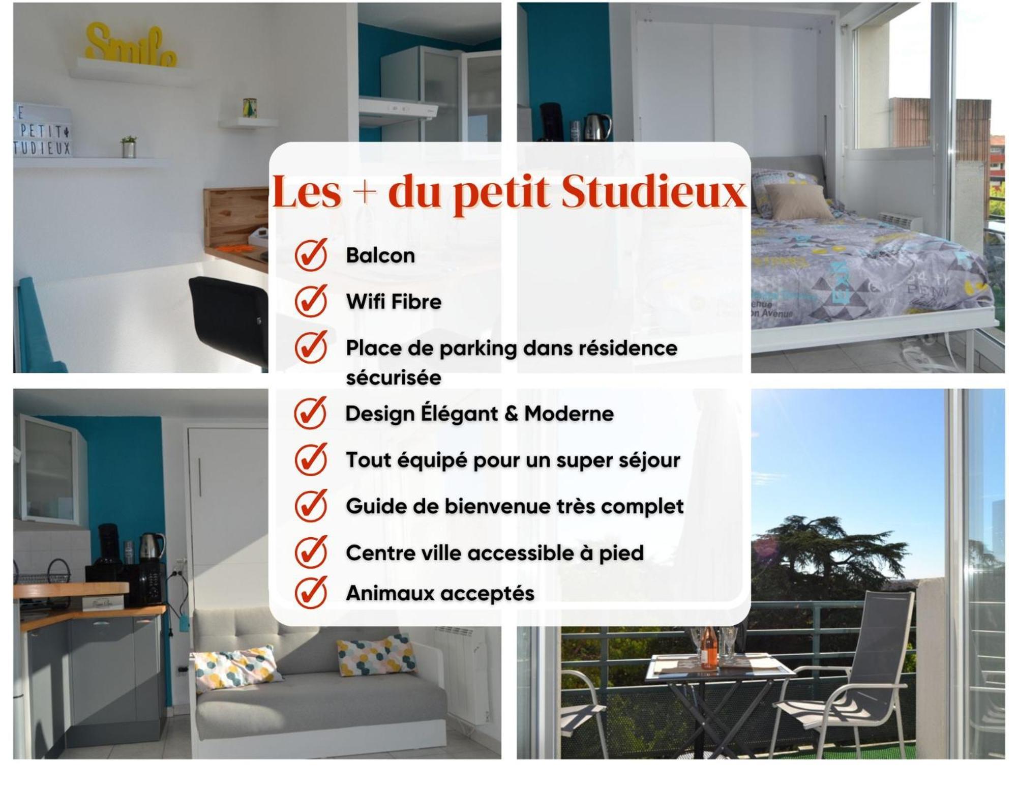 Le Petit Studieux - Parking - Animaux Acceptes - Centre Ville Accessible A Pied Albi Buitenkant foto