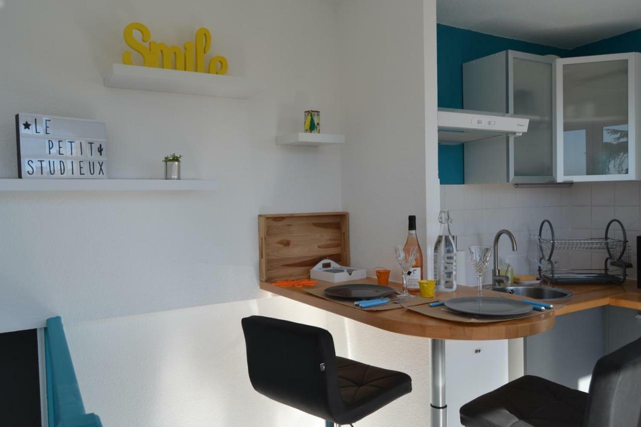 Le Petit Studieux - Parking - Animaux Acceptes - Centre Ville Accessible A Pied Albi Buitenkant foto