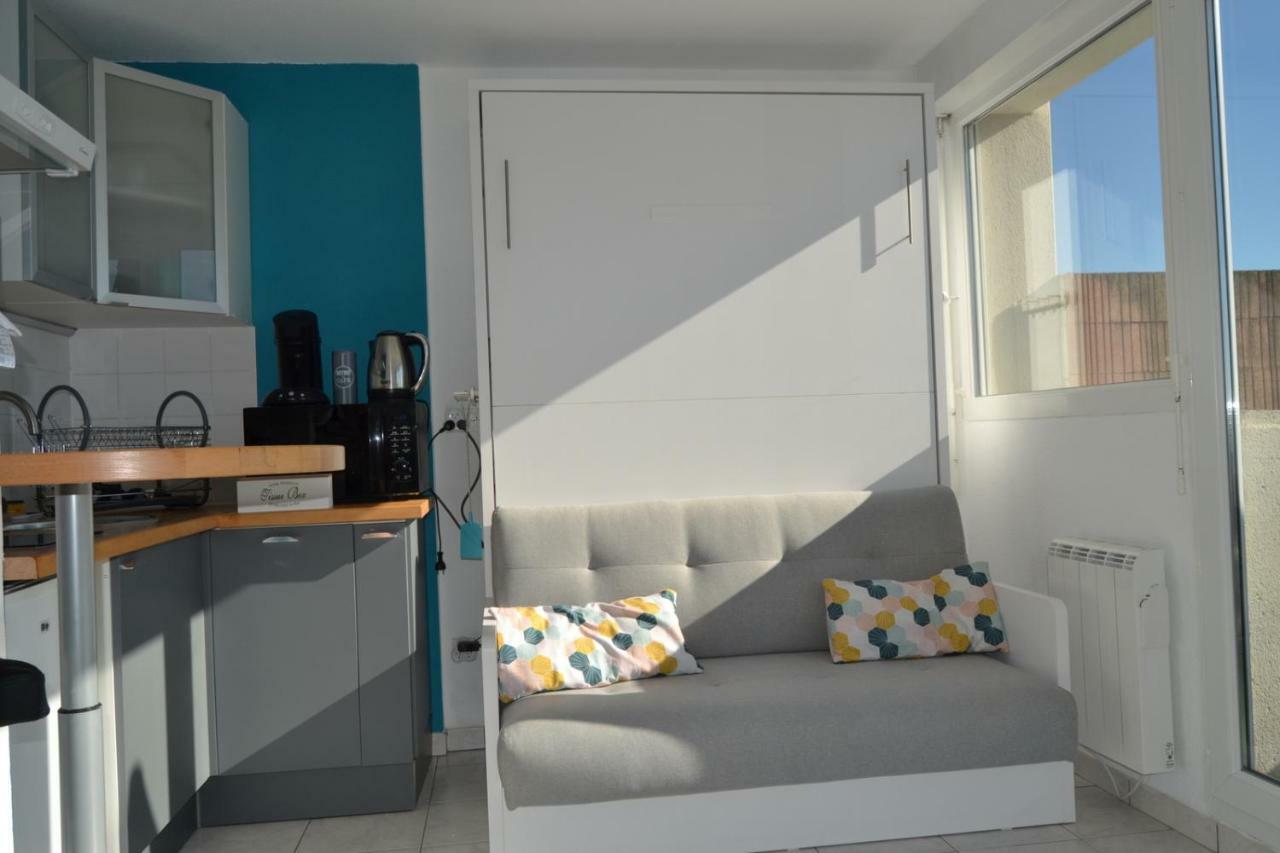 Le Petit Studieux - Parking - Animaux Acceptes - Centre Ville Accessible A Pied Albi Buitenkant foto