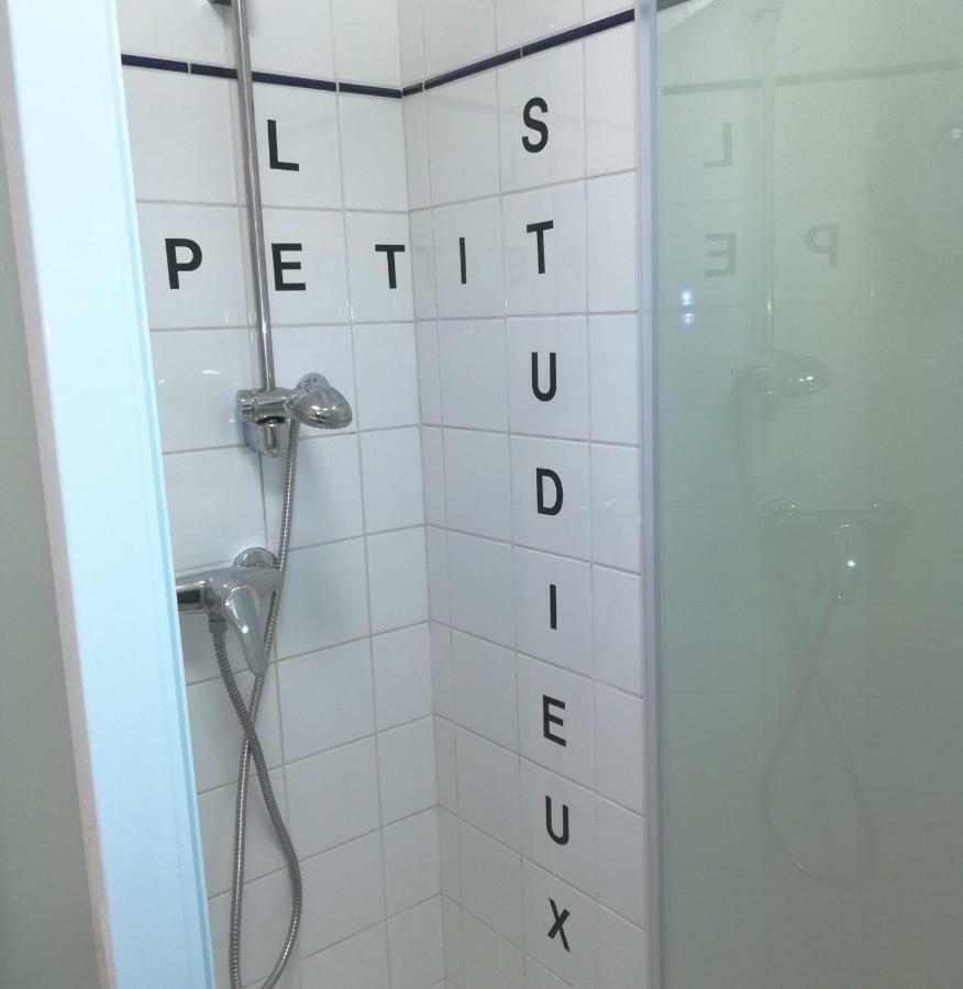 Le Petit Studieux - Parking - Animaux Acceptes - Centre Ville Accessible A Pied Albi Buitenkant foto
