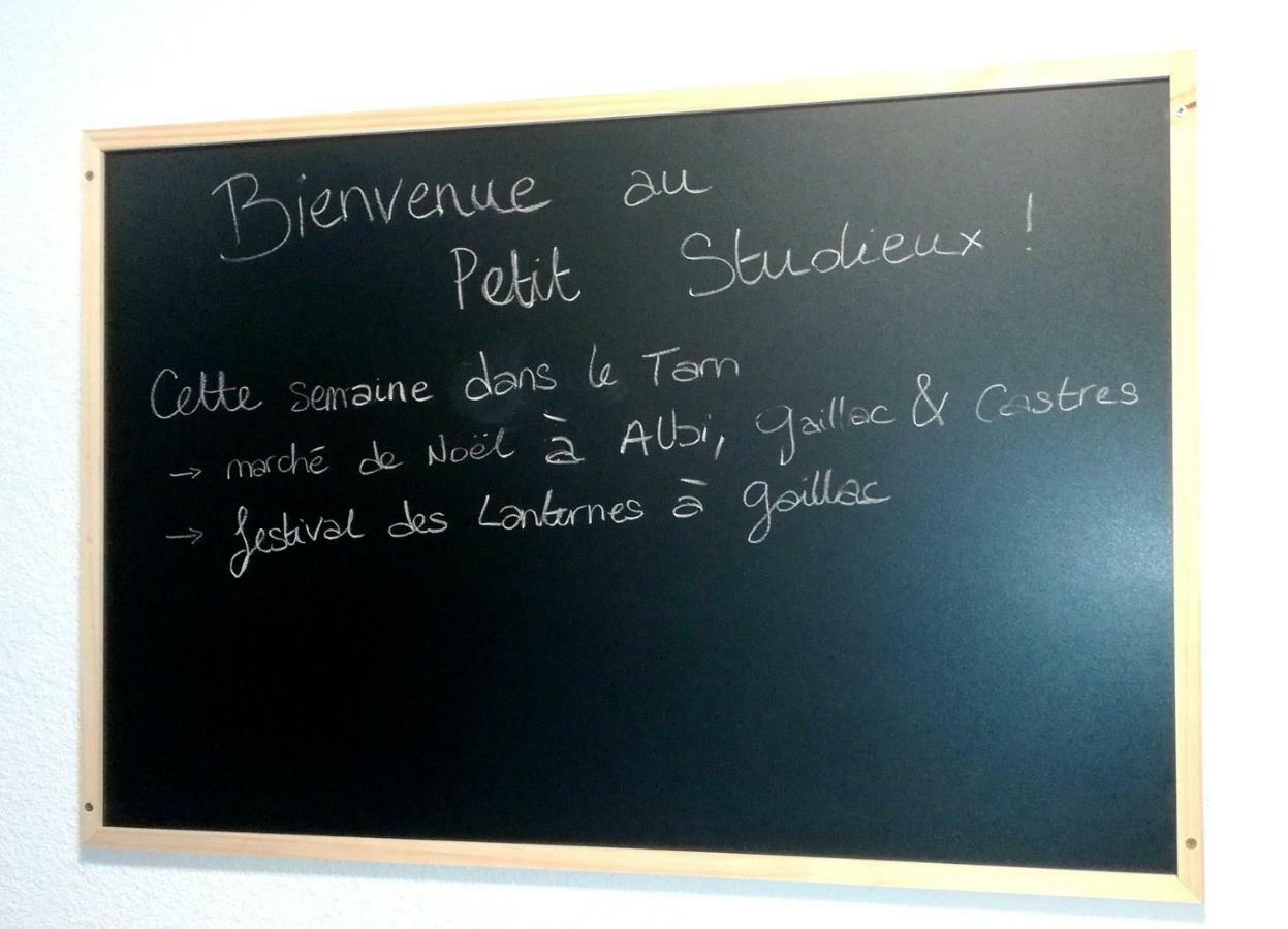 Le Petit Studieux - Parking - Animaux Acceptes - Centre Ville Accessible A Pied Albi Buitenkant foto